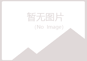 江岸区伤口能源有限公司